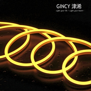 SILICON NEON STRIP LIGHT 612