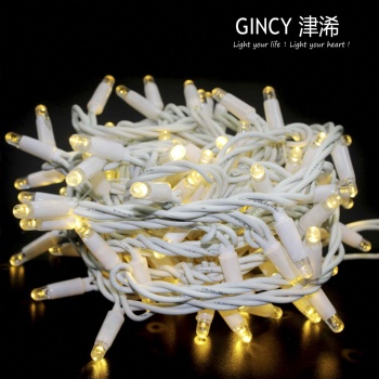 LED rubber string light   10m 100L